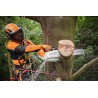 Motosierra STIHL MSA 220.0 TC-O